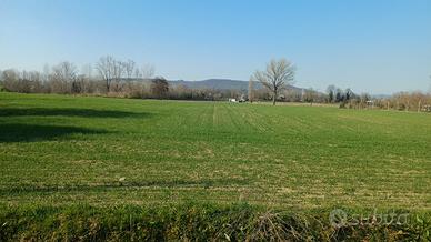 Terreno Agricolo 