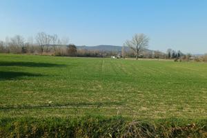 Terreno Agricolo 