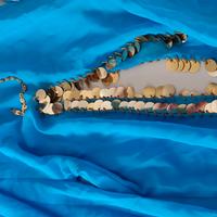 Pantaloni danza del ventre