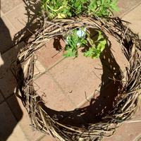 Ghirlanda decorativa primaverile