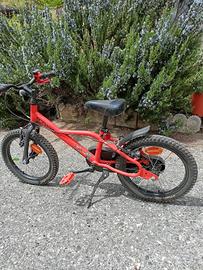 MTB bimbo 16