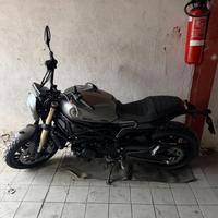 Benelli Leoncino 800