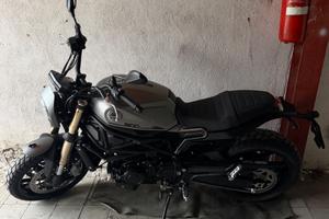 Benelli Leoncino 800