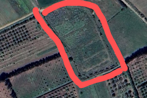 Terreno agricolo monastir