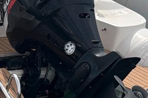 Suzuki fuoribordo df 115 leggi tutto