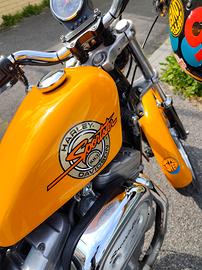 Harley Davidson hugger sportster 