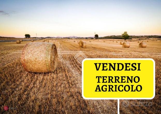 TER. AGRICOLO A PRALORMO