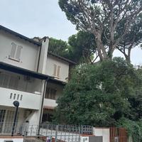 Operaio tuttofare con patente