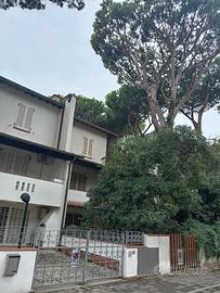 Operaio tuttofare con patente