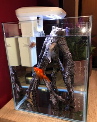 Acquario con Filtro a cascata e Illuminazione LED