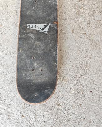 Skateboard 
