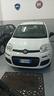 fiat-panda-1-2-lounge-come-nuova-garanzia-12-mesi