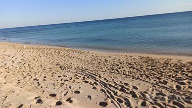 Casa vacanze nel Salento