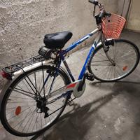 Bicicletta da uomo 