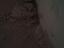 Immagine 15