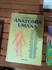Anatomia Umana Anastasi Edi ermes