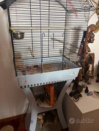 Accessori animalisti
