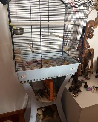 Accessori animalisti