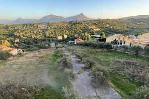 Terreno agricolo con alberi di ulivo