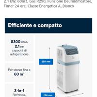 Pinguino DeLonghi