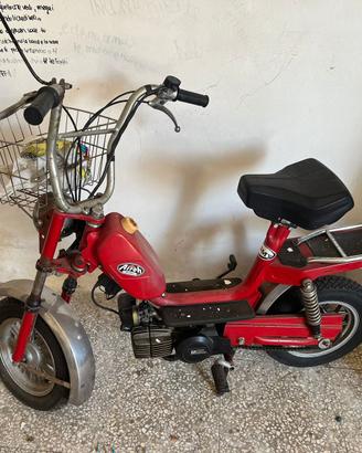 Mini chic/mini califfo