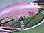 Immagine 23