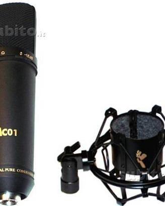 Coppia 2 MIC SMPro Audio MC 01