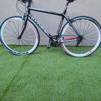 Bici da corsa in carbonio