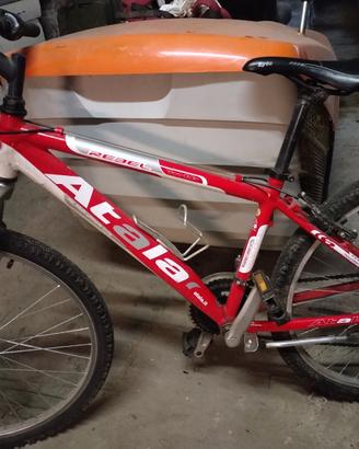 bicicletta atala rebel