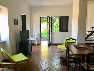 Cannicchio(Acciaroli) occupata ad agosto