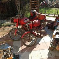 Moto Guzzi e Gilera Altro modello - Anni 60