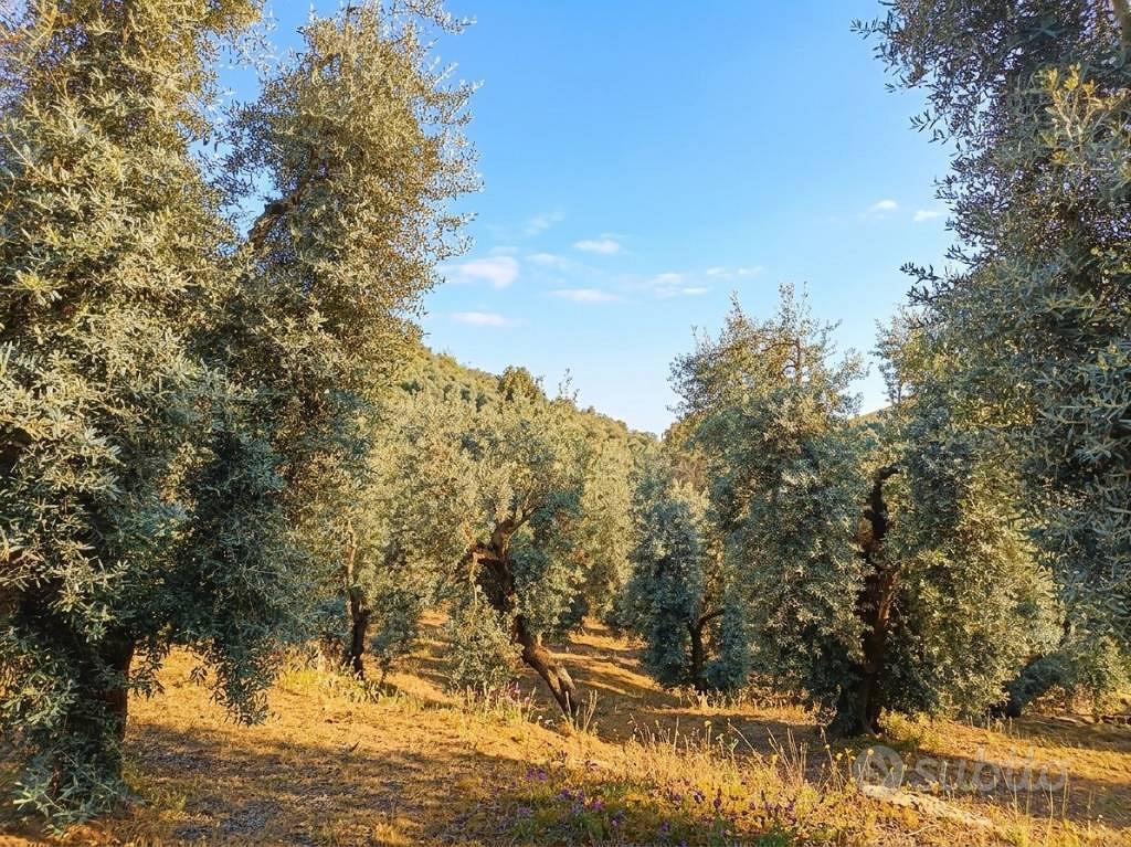 Terreno di 3470 m² a Itri - Vista 3