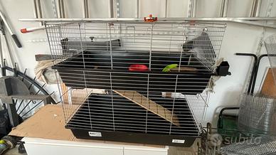 Gabbia doppia per cavie