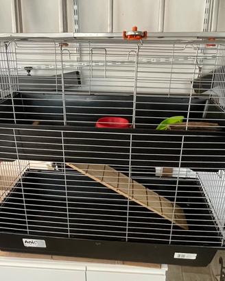 Gabbia doppia per cavie