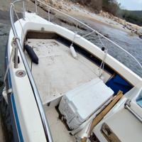 barca rio fish 600