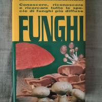 " i funghi" de agostini