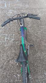 Bicicletta