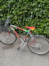Bici 26 pollici