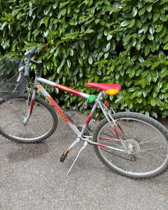 Bici 26 pollici
