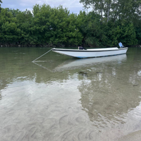Barca a motore da fiume