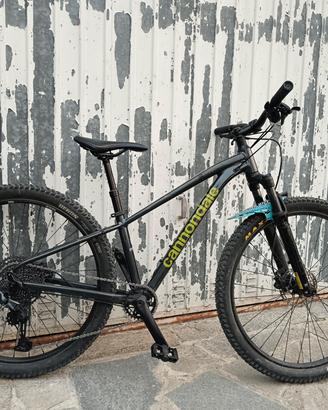 mtb front
