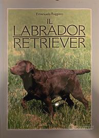 Il labrador retriever libro cinofilia