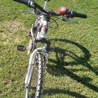 Bicicletta per bambino 