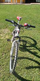 Bicicletta per bambino 