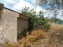 s-v-pischina-ruia-terreno-uliveto-con-casa-c2