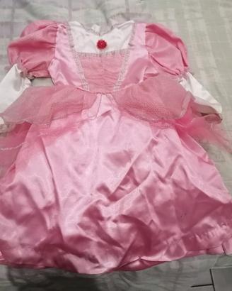 Vestito di carnevale della principessa