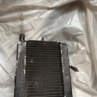 Radiatore Yamaha Majesty 250