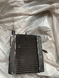 Radiatore Yamaha Majesty 250