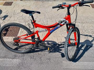BICI,  BICICLETTA,  MTB,  MOUNTAIN BIKE 