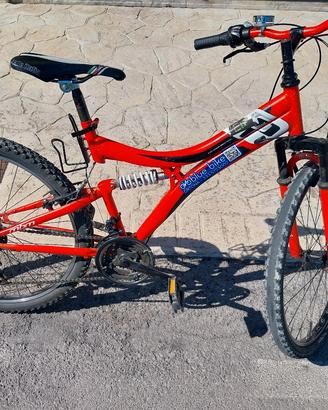 BICI,  BICICLETTA,  MTB,  MOUNTAIN BIKE 